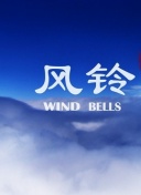 我爱777在线免费观看